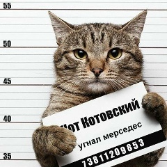 Шахбос Хасанов, 21.02.1986, Санкт-Петербург