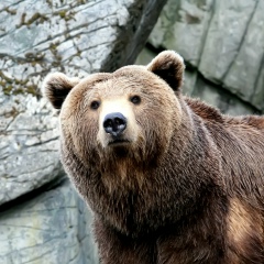 Александр Кальной, Троицкое