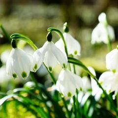 Анастасия Перлина, 03.01, Санкт-Петербург