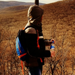 Иван Орлов, Краснодар