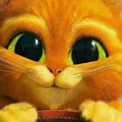 Жанна Мунаева, 31.12.1996, Грозный