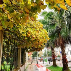 Назгуль Байлауова, 08.10.1968, Атырау