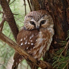 Екатерина Рябая, 05.09.1986, Мурманск