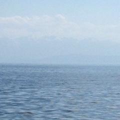 Камила Асматулаева, 29.03, Алматы