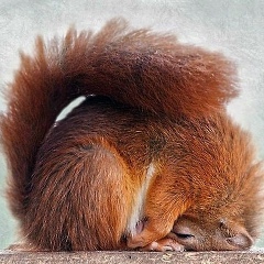 Юлия Щербакова, Нижневартовск