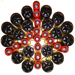 Стас Райхерт, 22.11.1981, Санкт-Петербург