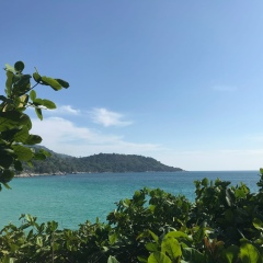 Юлия Мартынова