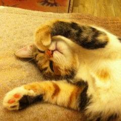 Ольга Балан, 14.10.1985, Москва