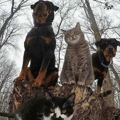 Олег Патрушев, 01.05.1996, Белая Церковь