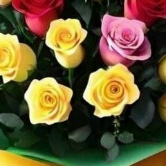 Уулкан Чотоева, 23.02.1981