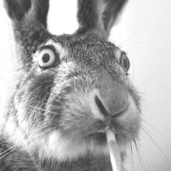 Pavel Garshin, 10.10.1986, Щелково