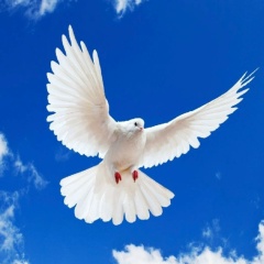 Ольга Галустьян, 21.05, Санкт-Петербург