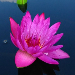 Мария Савельева, 02.03