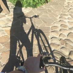 Надежда Сикорская