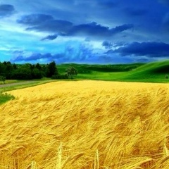 Алёнушка Дыкуха, 11.08, Киев