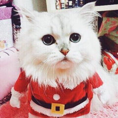 Анастасия Зязина, 10.10, Seoul