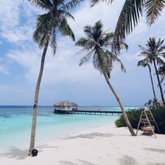 Hady Murzinova, 23.09.2006