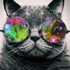 Артем Плотников, Клин