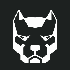 Бахадур Сатыбалдыев, Душанбе