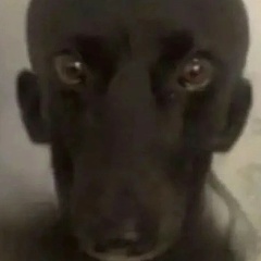 Евгений Башин, Москва