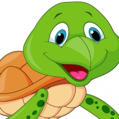 Елена Мустафаева, Псков