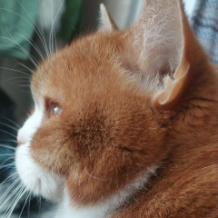 Харитон Михалев, 02.11, Нижний Новгород