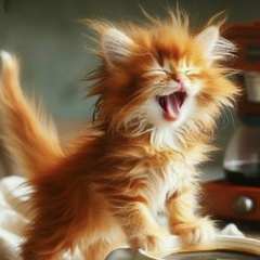 Татьяна Макеева, 17.08.1966, Санкт-Петербург