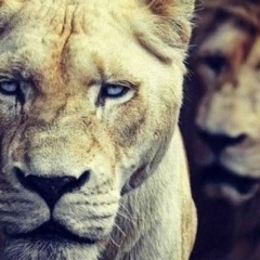 Bakay Nazarov, 29.01