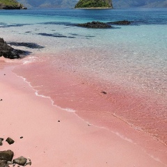 Анна Макарова