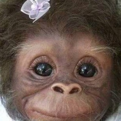 Gulya Saloyan, 22.01.1987, Москва