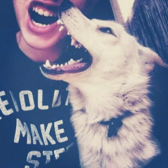 Илья Лисица, 05.02, Омск