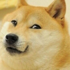 Дмитрий Торгашов, 01.06