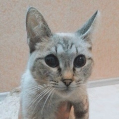 Егор Сычёв, 07.04, Москва