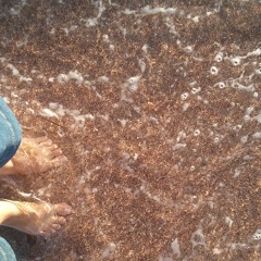 Ксения Юдина, 16.12, Киев