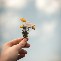 Sar-Yar Nwe, 17.07.1989, Yangon