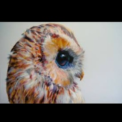 Денис Ким, 01.03, Алматы