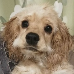 Константин Волынцев, 21.04, Иркутск