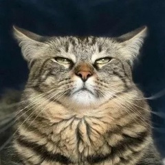 Алексей Коптев, 10.08.1989, Москва