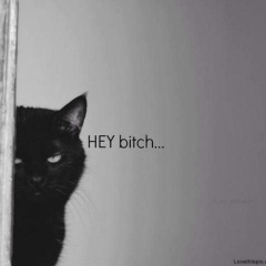 Ерлан Толегенов, Актау