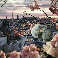 Гульнур Батталова