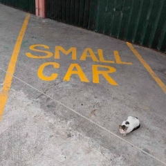 Саша Привалова