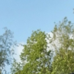 Виталий Носов, 28.04.1989, Клин