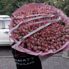 Эмиль Аббасов, Шымкент