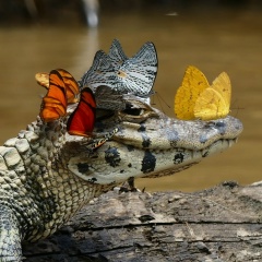 Елена Радченко, 20.08, Петрозаводск