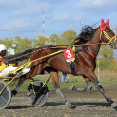 Серёга Матвеев, 06.12.1991, Москва