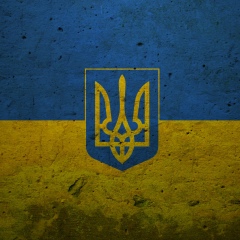 Denys Medvediev, 03.05.1984, Москва