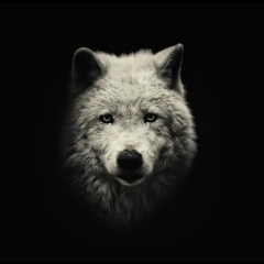 Soe Lwin, 17.12.1995