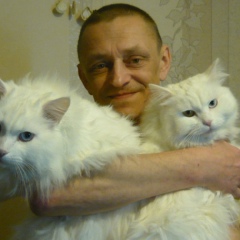 Альберт Кузнецов, 19.01.1972