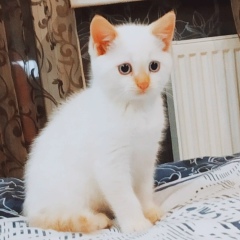 Юра Комков, 11.03.1991, Одесса