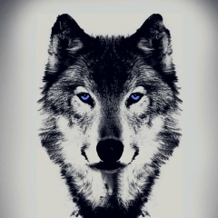 Ясын Эюбов, 05.09, Астана